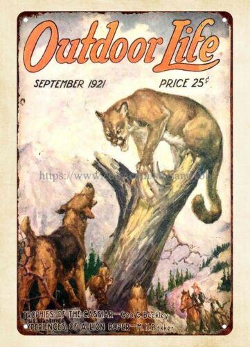 Hunting Dog Outdoor - duvar resmi satın al 1921 OUTDOOR