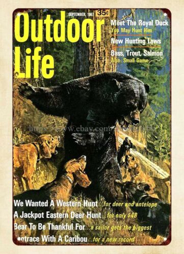Hunting Dog Outdoor - ofis duvar dekoru 1967 Açık Hava