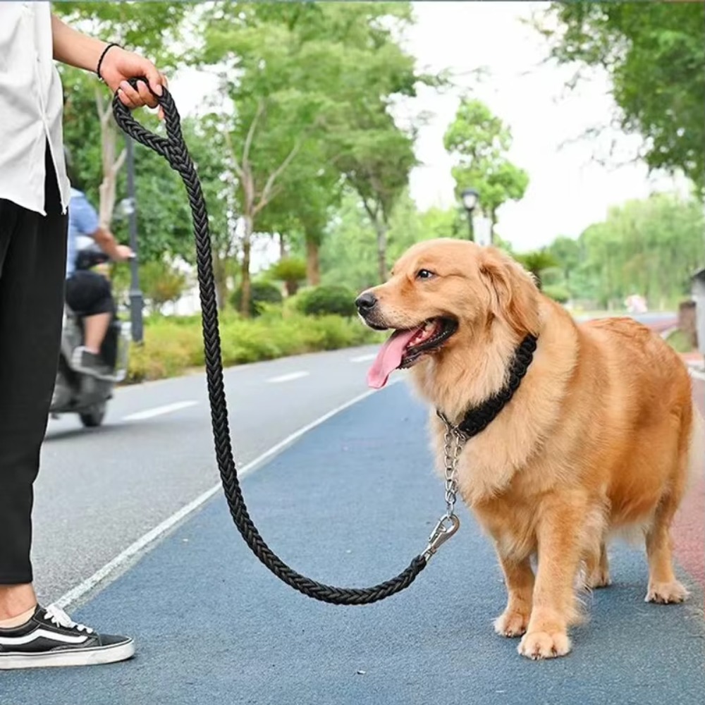 Ağır Hizmet Tipi Büyük Köpek T - Hunting Dog Outdoor incelemesi ve fiyatı