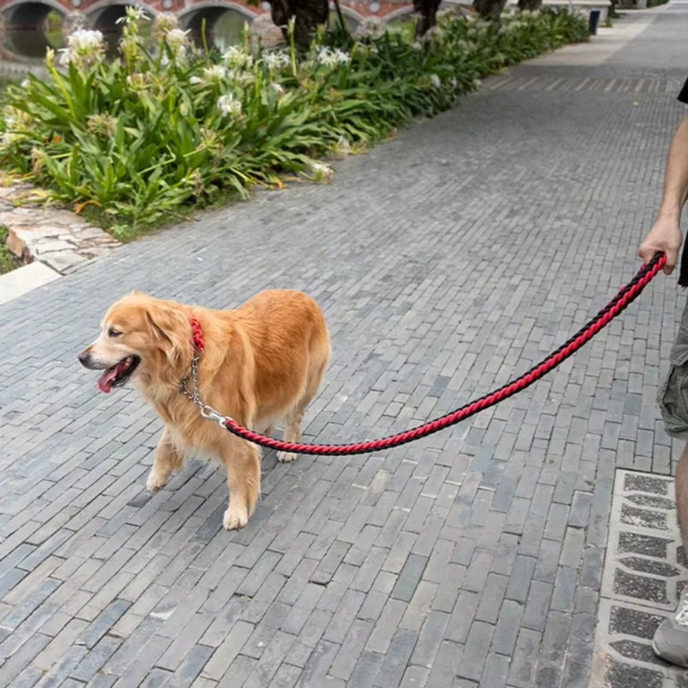 Ağır Hizmet Tipi Büyük Köpek T - Hunting Dog Outdoor incelemesi ve fiyatı